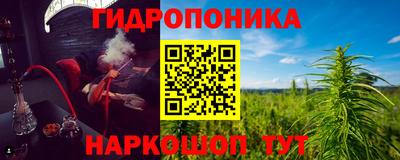 спиды Тара
