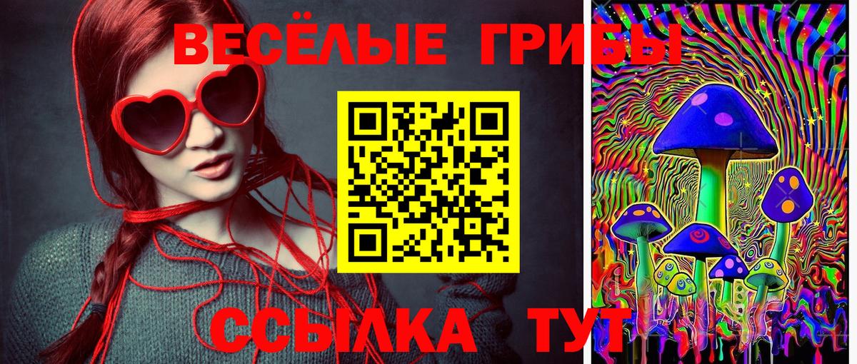 Сердобск  Галлюциногенные грибы Psilocybine cubensis  Вход с VPN 